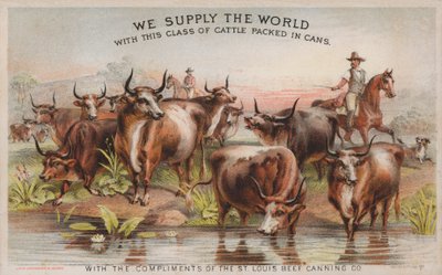 Vaqueros en una conducción de ganado, anuncio de la Compañía de Conservas de Carne de San Luis de American School